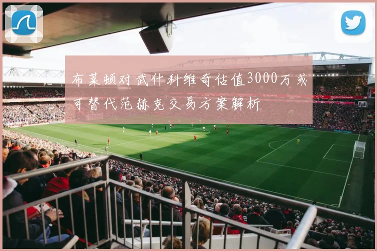布莱顿对武什科维奇估值3000万或可替代范赫克交易方案解析