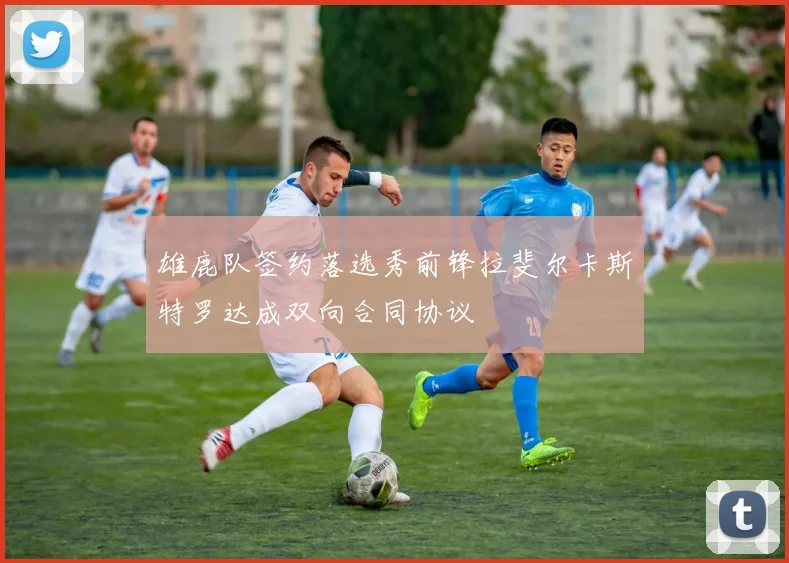雄鹿队签约落选秀前锋拉斐尔卡斯特罗达成双向合同协议