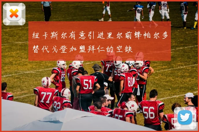 纽卡斯尔有意引进里尔前锋帕尔多替代戈登加盟拜仁的空缺