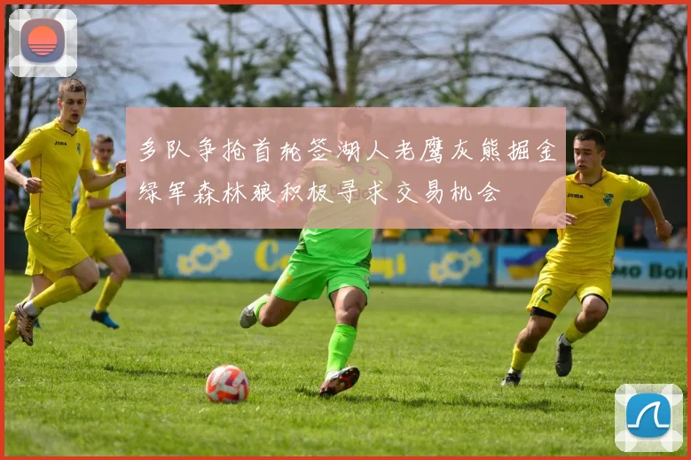多队争抢首轮签湖人老鹰灰熊掘金绿军森林狼积极寻求交易机会